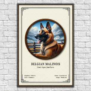 Belgischer Malinois Zoologie-Serie Poster