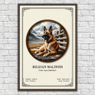 Belgischer Malinois Zoologie-Serie Poster