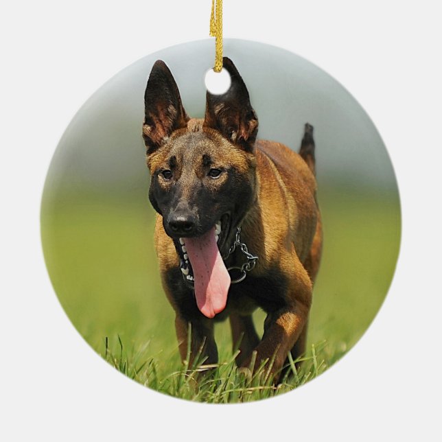 Belgischer Schäfer-Hund Keramikornament (Hinten)