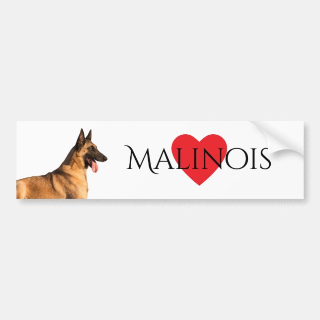 Belgischer Schäfer Malinois Autoaufkleber (Vorne)