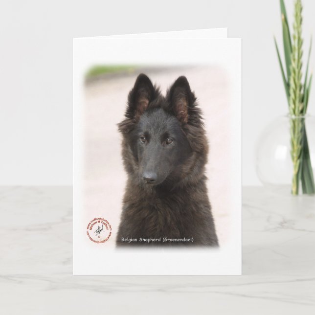 Belgischer Schäferhund 9R096D-022 Karte (Vorderseite)