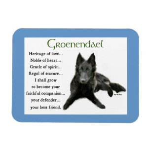 Belgischer Schäferhund Erbe der Liebe Magnet