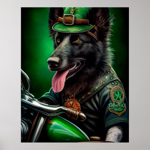 Belgischer Schäferhund fährt Fahrrad am St. Patric Poster