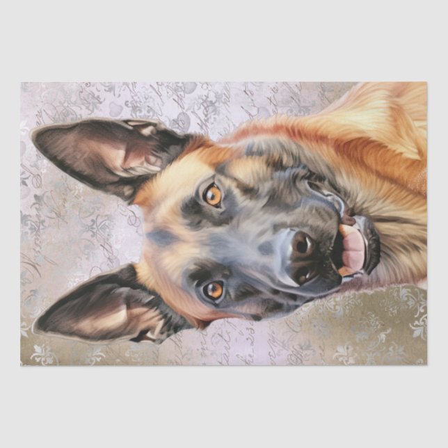 Belgischer Schäferhund Malinois Dog Seidenpapier (Vorderseite)