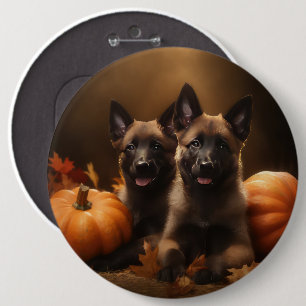 Belgischer Schäferhund-Welpe Herbstfreude Kürbis Button