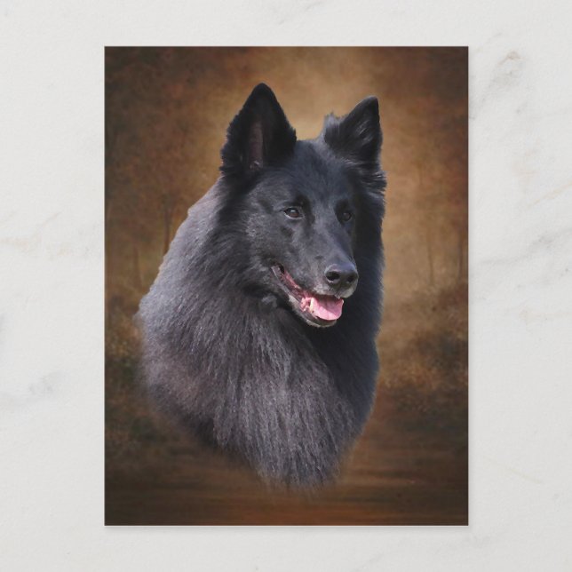 Belgischer Schafhund Postkarte (Vorderseite)