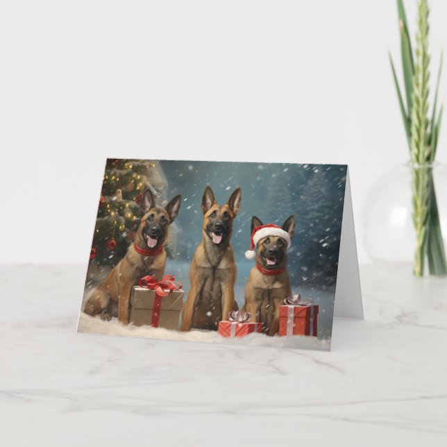 Belgischer Weihnachtshund Malinois Dankeskarte (Vorderseite)