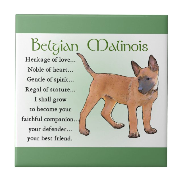 Belgisches Malinois-Erbe der Liebe Fliese (Vorderseite)