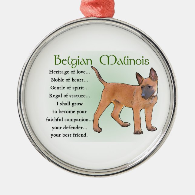 Belgisches Malinois-Erbe der Liebe Silbernes Ornament (Vorne)