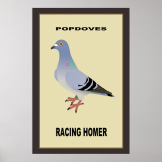 Belgisches Racing Homer Poster