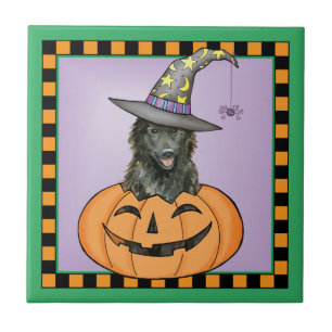 Belgisches Sheepdog Halloween Fliese