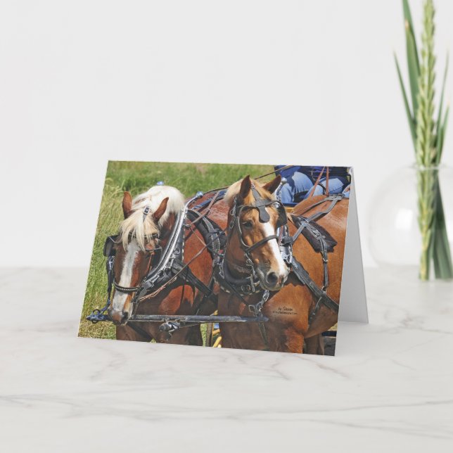 Belgisches Team Karte (Vorderseite)