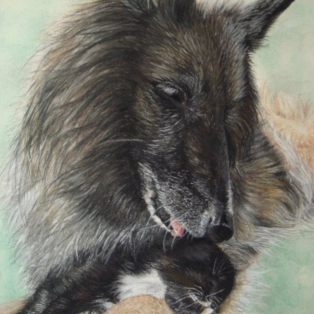 Belgiumshepherdin (Von Creator hochgeladen)