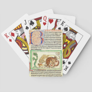 Belichtete Seite 1250 Spielkarten