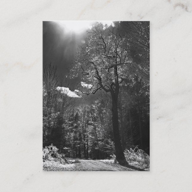 Belichtetes Baum ATC Visitenkarte (Vorderseite)