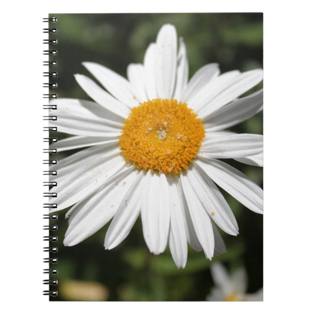 beliebte Blume, hübsche Wildweißaufnahme Notizblock (Vorderseite)