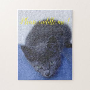 Beliebtes Geschenk für Katzen-Design
