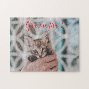 Beliebtes Geschenk für Katzen-Design