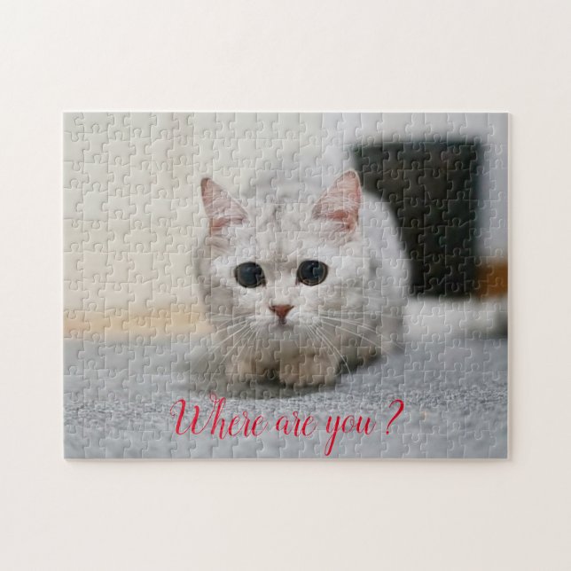 Beliebtes Geschenk für Katzen-Design (Horizontal)
