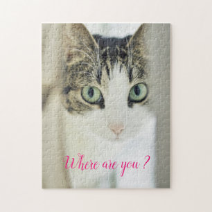 Beliebtes Geschenk für Katzen-Design