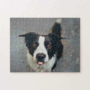 Beliebtes Hunddesign-Geschenk