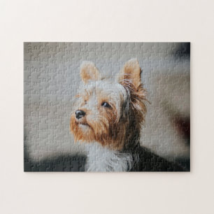 Beliebtes Hunddesign-Geschenk