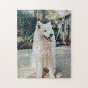 Beliebtes Hunddesign-Geschenk