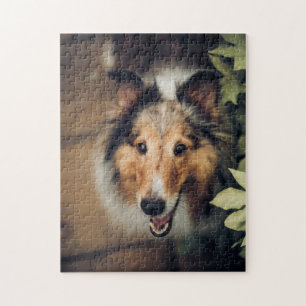 Beliebtes Hunddesign-Geschenk