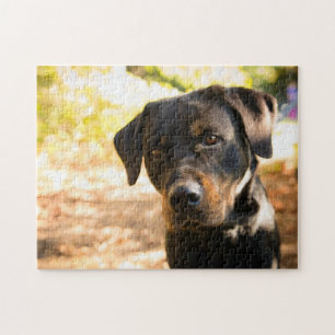 Beliebtes Hunddesign-Geschenk