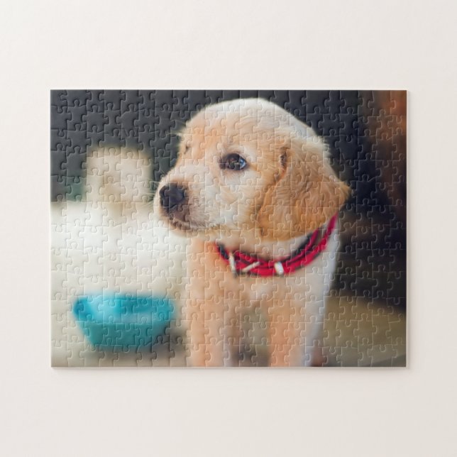 Beliebtes Hunddesign-Geschenk (Horizontal)