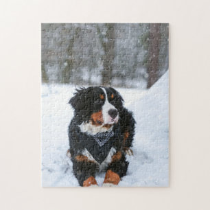 Beliebtes Hunddesign-Geschenk