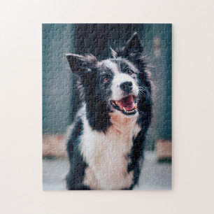 Beliebtes Hunddesign-Geschenk