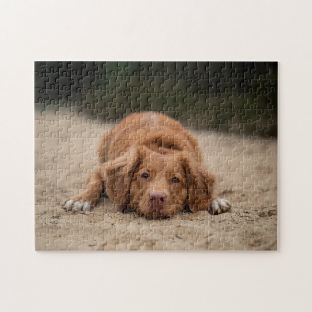 Beliebtes Hunddesign-Geschenk (Horizontal)