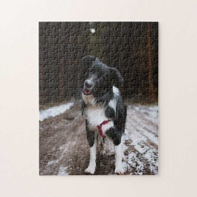 Beliebtes Hunddesign-Geschenk (Vertikal)