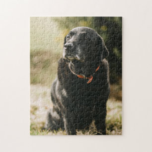 Beliebtes Hunddesign-Geschenk