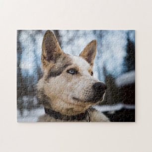 Beliebtes Hunddesign-Geschenk