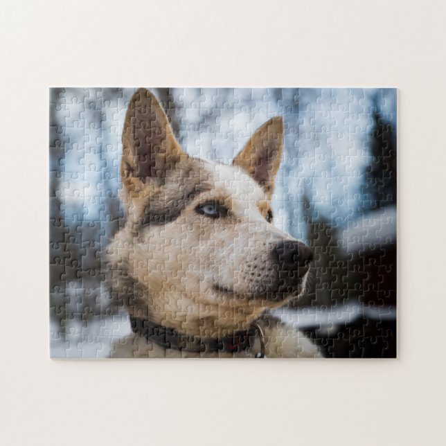Beliebtes Hunddesign-Geschenk (Horizontal)