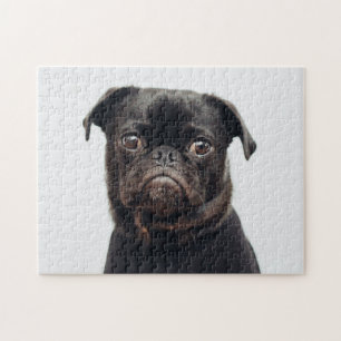 Beliebtes Hunddesign-Geschenk