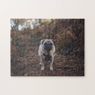 Beliebtes Hunddesign-Geschenk