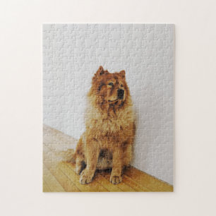 Beliebtes Hunddesign-Geschenk