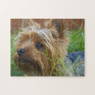 Beliebtes Hunddesign-Geschenk