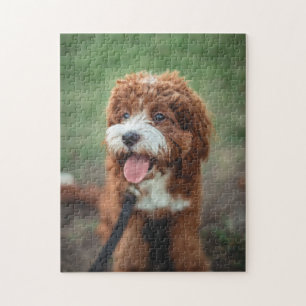 Beliebtes Hunddesign-Geschenk