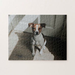 Beliebtes Hunddesign-Geschenk