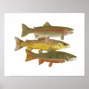 Beliebteste Trout Artwork Poster