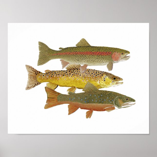 Beliebteste Trout Artwork Poster (Vorne)
