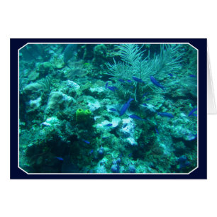 Belize