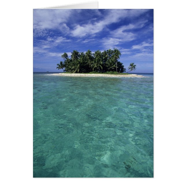 Belize, Barrier Reef, Insel oder Cay ohne Namen. (Vorne)