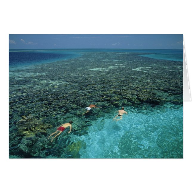 Belize, Barrier Reef, Lighthouse Reef, Blau (Vorderseite (Horizontal))
