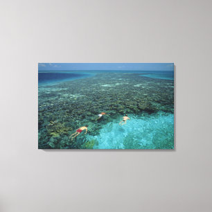 Belize, Barrier Reef, Lighthouse Reef, Blau Leinwanddruck