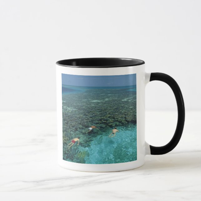 Belize, Barrier Reef, Lighthouse Reef, Blau Tasse (Rechts)